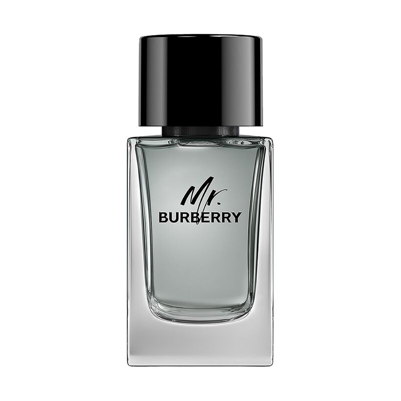 burberry mr. burberry eau de toilette