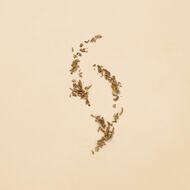 غوتشي غيلتي أو دو تواليت للنساء faces غوتشي غيلتي أو دو تواليت للنساء