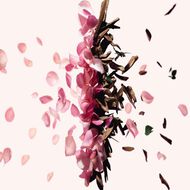 faces irresistible eau de parfum roll on