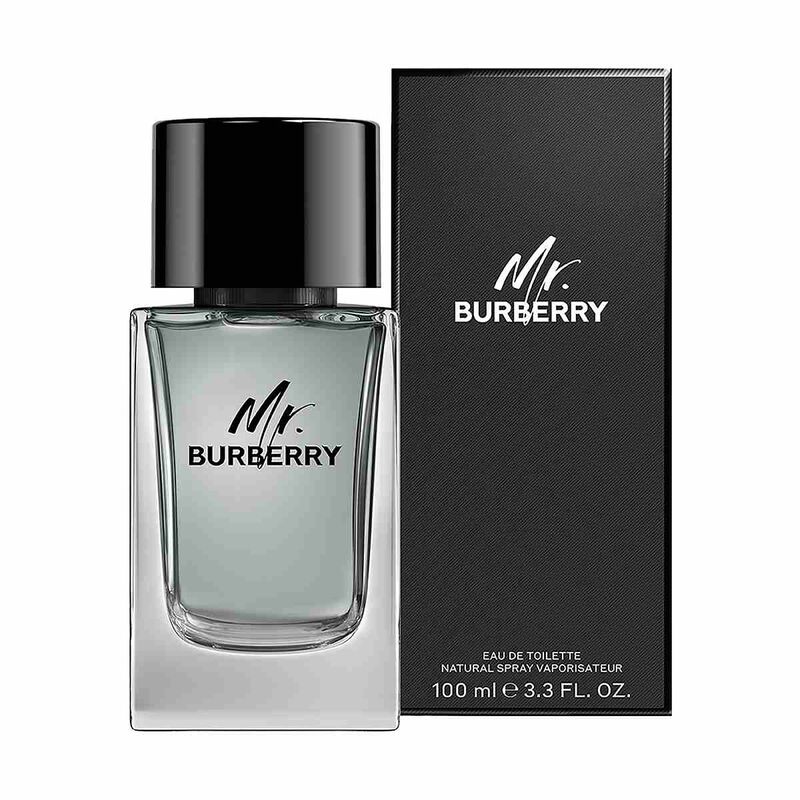 burberry mr. burberry eau de toilette