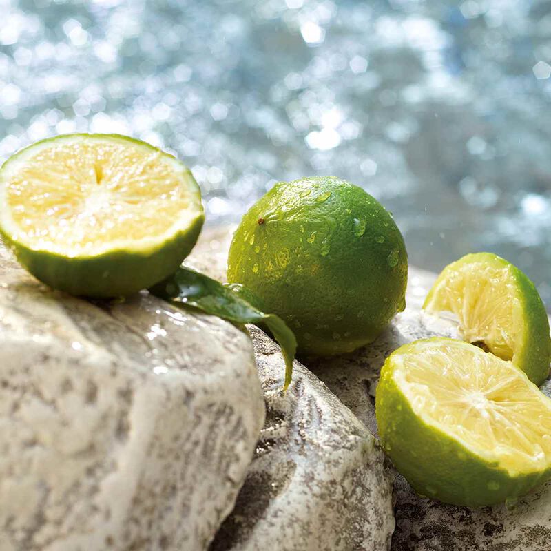 dolce & gabbana light blue summer vibes