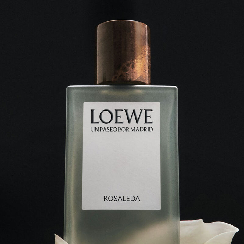 لووي أون باسيو بور مدريد روزاليدا