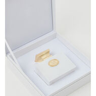 Tender Musk faces tender musk