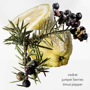 faces terre d herm s eau givr e eau de parfum