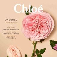 faces chlo absolu de parfum eau de parfum