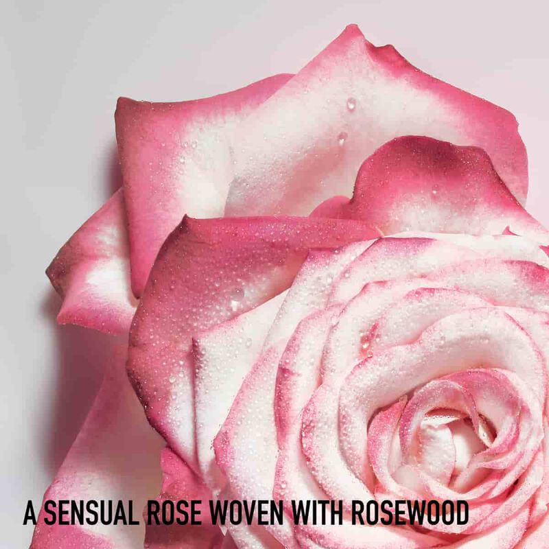 ديور ميس ديور أو  دو برفان