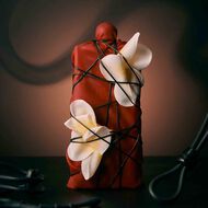 faces la dompteuse encagee