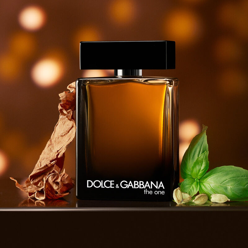 dolce & gabbana the one