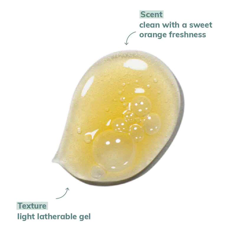 abyssian شامبو مرطب ومكثف