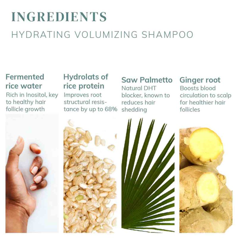 abyssian شامبو مرطب ومكثف