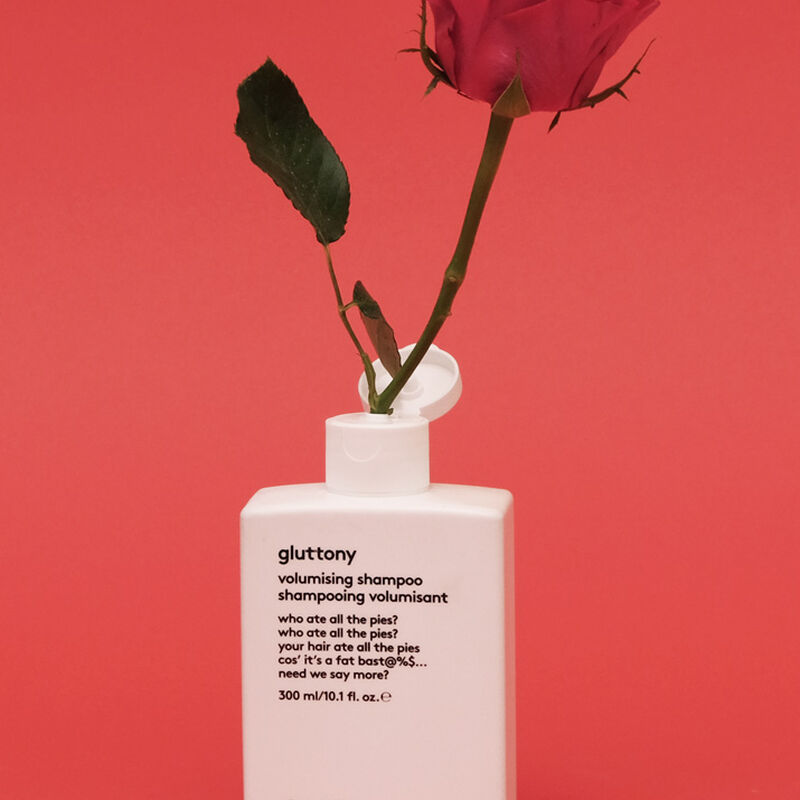 ايفو شامبو جلاتوني