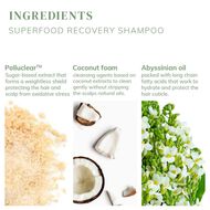 faces superfood recovery shampoo