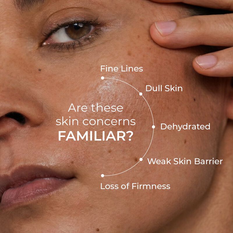skin centrick سيروم الخلايا الجذعية النباتية النقية