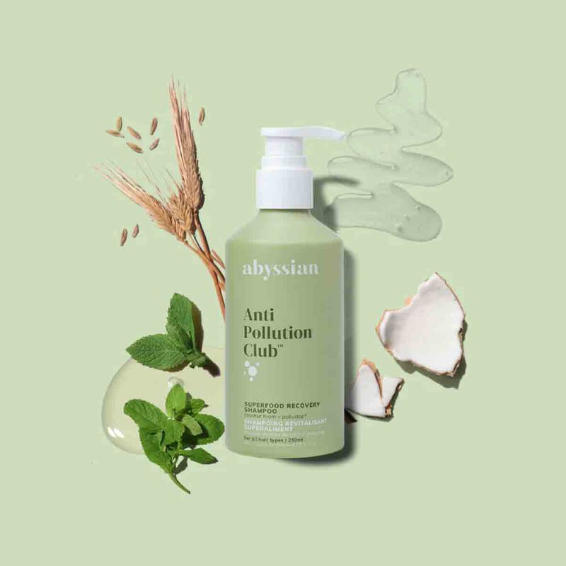 abyssian superfood recovery shampoo